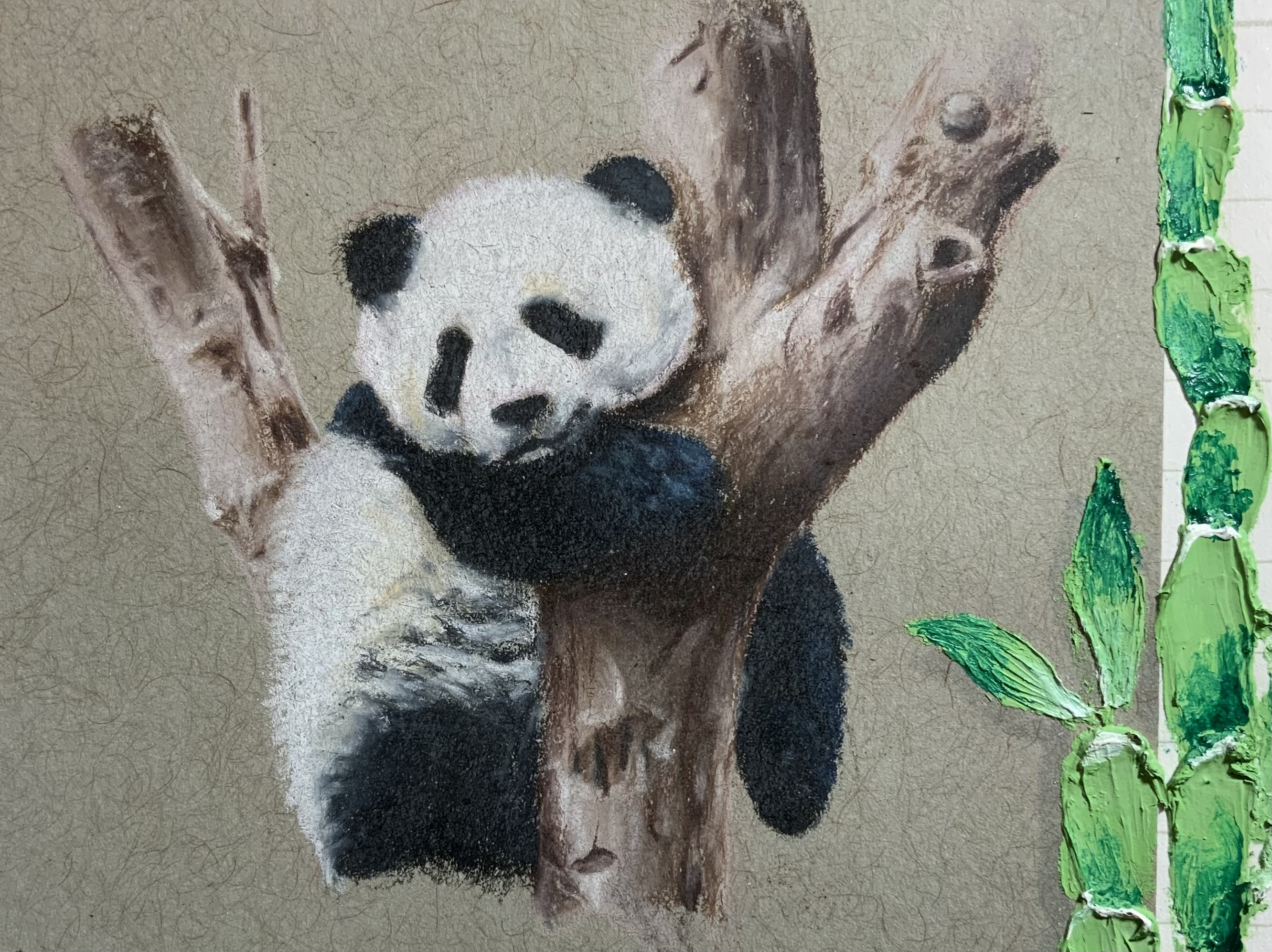 Panda
